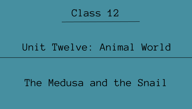 Animal World Exercise: Questions and Answers | NEB Class 12 English